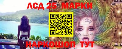 прущие грибы Ирбит