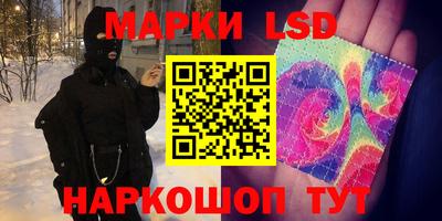 прущие грибы Ирбит