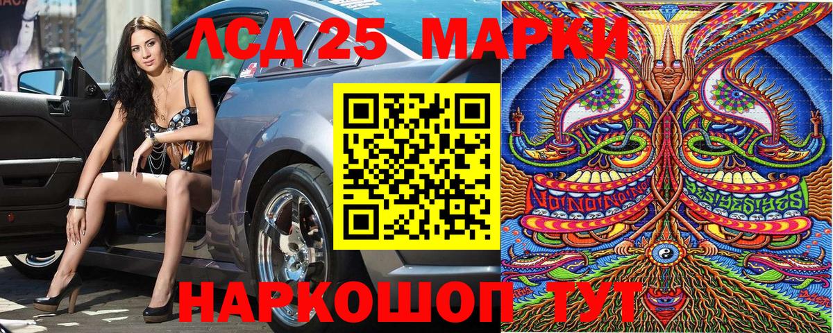 Курчатов  Марки NBOMe 1500мкг  Марки NBOMe 1500мкг  сколько стоит  Вход с VPN 