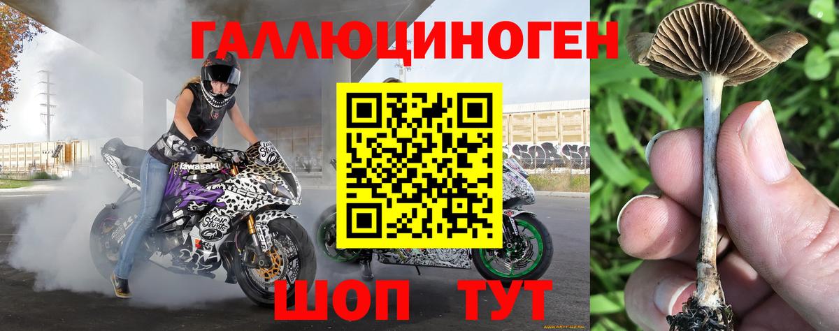 Галлюциногенные грибы Magic Shrooms  Вход с VPN  Курчатов  Псилоцибиновые грибы Magic Shrooms 