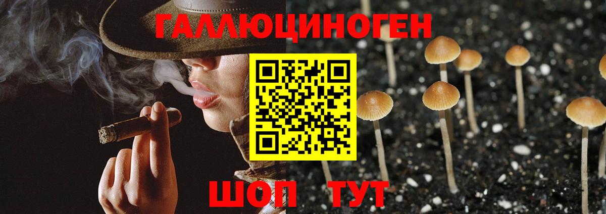 Псилоцибиновые грибы мицелий Курчатов